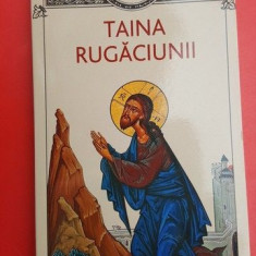 Taina rugaciunii- Diana Cristiana Vlad