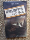 ION ARAMA - DETASAMENTUL CALINA, ACS