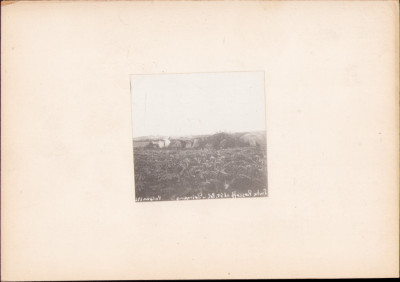 HST G4N Entre Roscoff et St Pol &amp;ndash; Dolmens France 192(?) foto de George V&amp;acirc;lsan foto