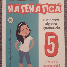 Matematica, aritmetica, algebra, geometrie. clasa V-a. partea I sem I, 2016