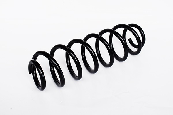 Arc Suspensie Spate 65911 SR.061