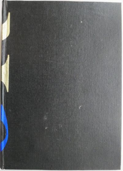 Dictionar tehnic german-roman