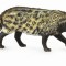 Zibeta Africana M - Animal figurina