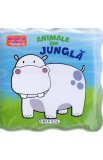 Ma joc in cadita! Animale din jungla, Girasol