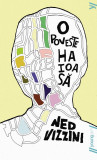 O poveste haioasa - Ned Vizzini - Grupul Art