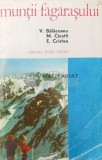 Cumpara ieftin Muntii Fagarasului - 1975 - Valentin Balaceanu ($U54)