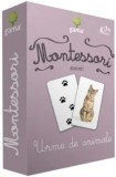 Montessori. Asocieri. Urme de animale/***, Gama