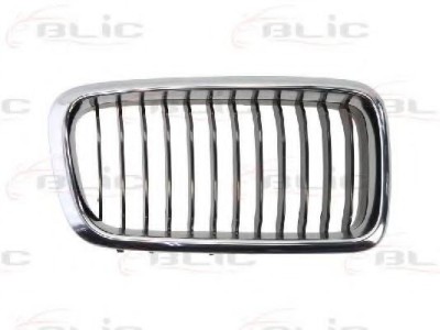 Grila radiator BMW Seria 7 (E38) (1994 - 2001) BLIC 6502-07-0075996P foto