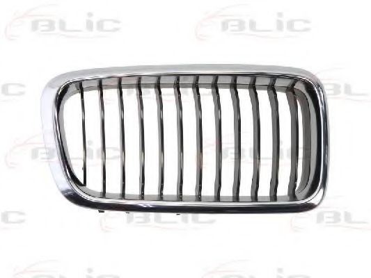 Grila radiator BMW Seria 7 (E38) (1994 - 2001) BLIC 6502-07-0075996P