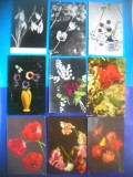HOPCT LOT NR 356 FLORI -9 CARTI POSTALE-RPR-CIRCULATE