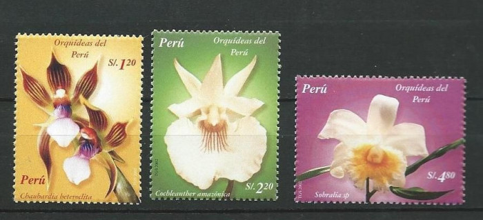 PERU 2004 FLORI ORHIDEE