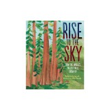 Rise to the Sky: How the World's Tallest Trees Grow Up