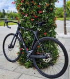 Bicicleta de sosea CANYON Endurace CF 6 + cadou