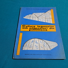 CULTURA LEGUMELOR SUB ADĂPOSTURI DIN POLIETILENĂ / I. CEAUȘESCU /1967 *