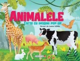 Cumpara ieftin Animalele. Carte cu imagini pop-up/Luana Schidu