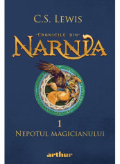 Cronicile din Narnia 1. Nepotul magicianului foto