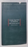 CE RAMANE DIN AUSCHWITZ , ARHIVA SI MARTORUL de GIORGIO AGAMBEN , 2006