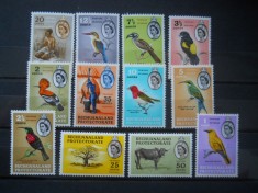 COLONII BRITANICE BECHUANALAND foto