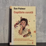 Sue Palmer - Copilărie curată. Un ghid pentru părinți responsabili. Cum să crești copii inteligenți și echilibrați