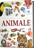 Enciclopedia cunoasterii. Animale - Aramis