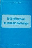 Boli infecțioase la animale domestice - Victoria Marin