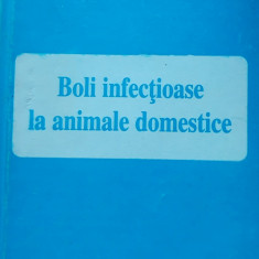 Boli infecțioase la animale domestice - Victoria Marin