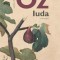 Iuda - Amos Oz
