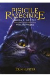 Pisicile razboinice (vol. 7): Noua profetie. Miez de noapte