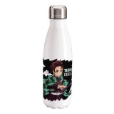 Sticla Apa Inox Demon Slayer - Tanjiro S2