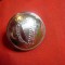 Nasture Militar Irlanda - Harpa metal ,d=2,6cm