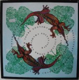 Vinil Rapscallion &ndash; Chameleon Drool (-VG)