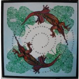 Vinil Rapscallion &ndash; Chameleon Drool (-VG)