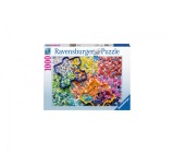 Puzzle O Paleta De Puzzle-Uri, 1000 Piese, Ravensburger