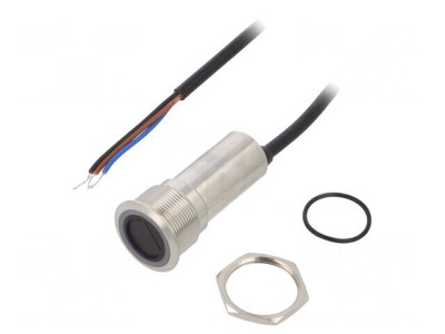 Comutator Anti-Vandal 2 Poz SPST-NO 300mA/24VDC IP65 foto
