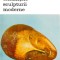 Walter Zanini - Tendințele sculpturii moderne