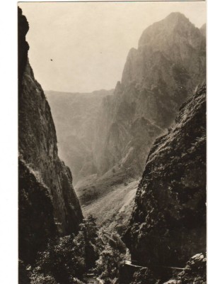 CPIB 15646 CARTE POSTALA - CHEILE TURZII foto