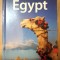 Joann Fletcher, Andrew Humphreys, Siona Jenkins, Anthony Sattin - Egypt