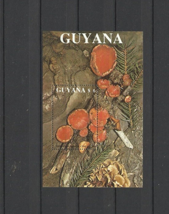 GUYANA 1989 CIUPERCI