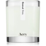 Aery Botanical Bonsai Tree lum&acirc;nare parfumată 200 g