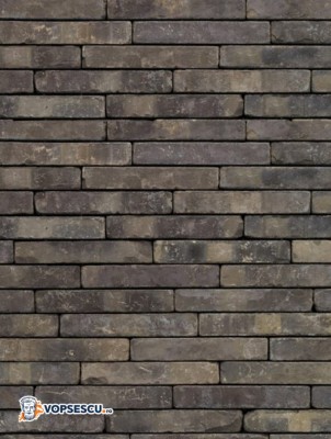 Coltar klinker Terca Metropolis Colonia Zwart, 24x4x2.3 cm foto