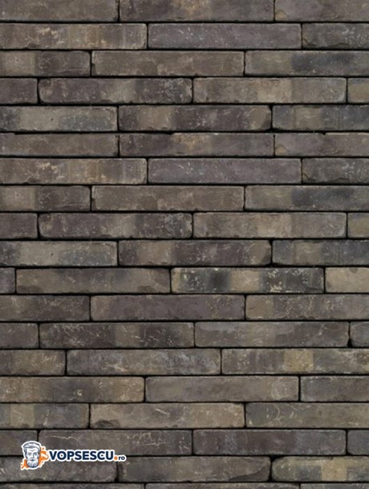 Coltar klinker Terca Metropolis Colonia Zwart, 24x4x2.3 cm