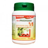 FAVIPREDIGEST 70cps FAVISAN