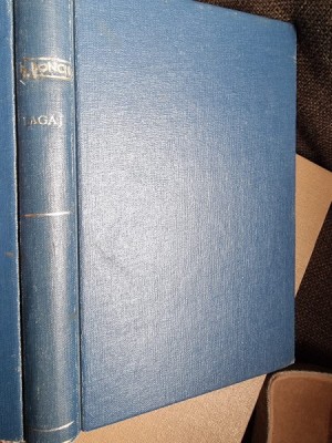 H. Bonciu - Bagaj foto