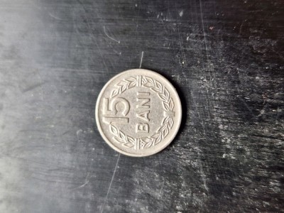 15 bani 1966 foto