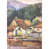 Damian Izverniceanu &ndash; &Icirc;n codrul Boșneagului, Carte Literatura Romana, Stare Buna