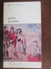 Pablo Picasso-Antonina Vallentin