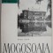 Mogosoaia &ndash; Radu Popa