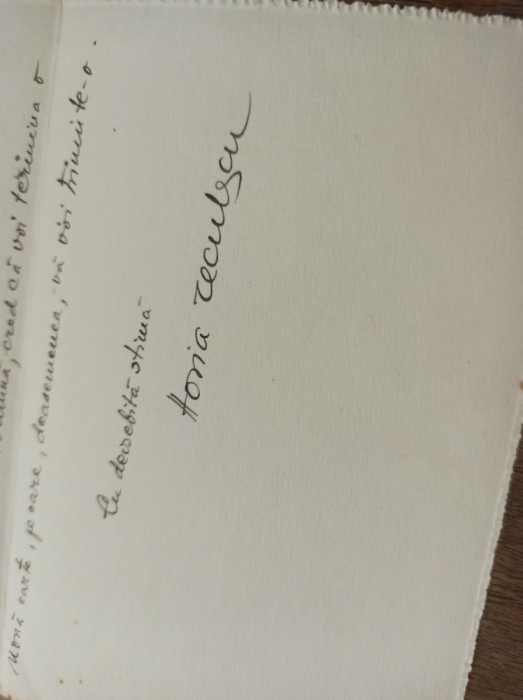 HORIA TECULESCU, SCRISOARE CATRE KIRILEANU, 1929
