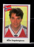 B10 - Sticker fotbal - Campionatul mondial USA - 1994 - nr 332