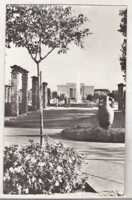 bnk cp Eforie Sud - Teatrul de vara - necirculata foto